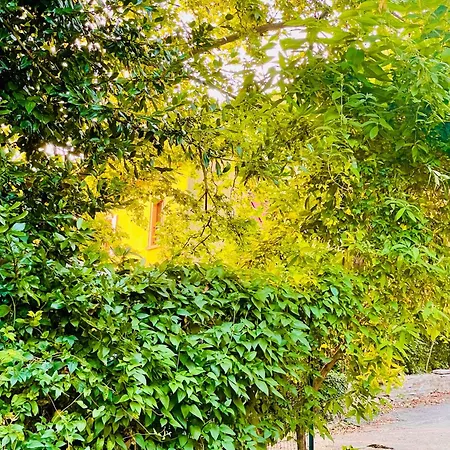 Domaine Soala Lunas (Herault)