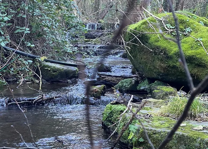 Domaine Soala * Lunas (Herault)