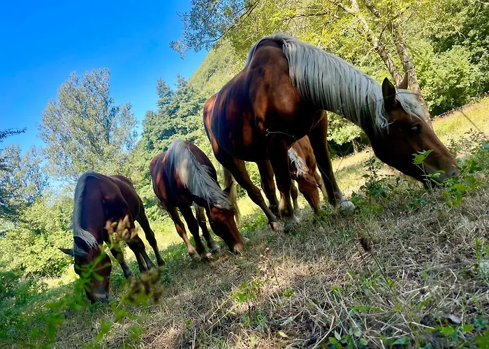 Domaine Soala Lunas (Herault)