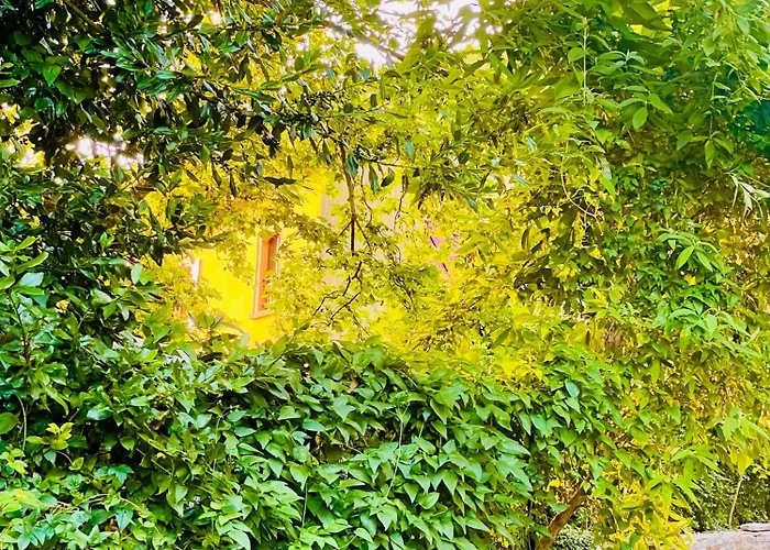 Domaine Soala Lunas (Herault)